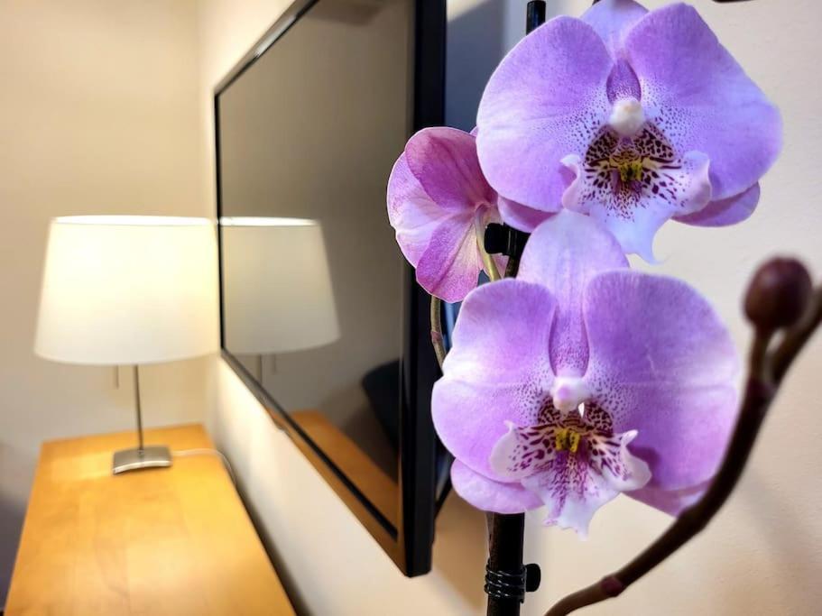 Flamenco, Apartamento Exclusivo De Dos Habitaciones En El Pleno Del Casco Antiguo, Alicante, Playa, Centro Historico, Rambla Ngoại thất bức ảnh